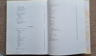 El camino de Santiago