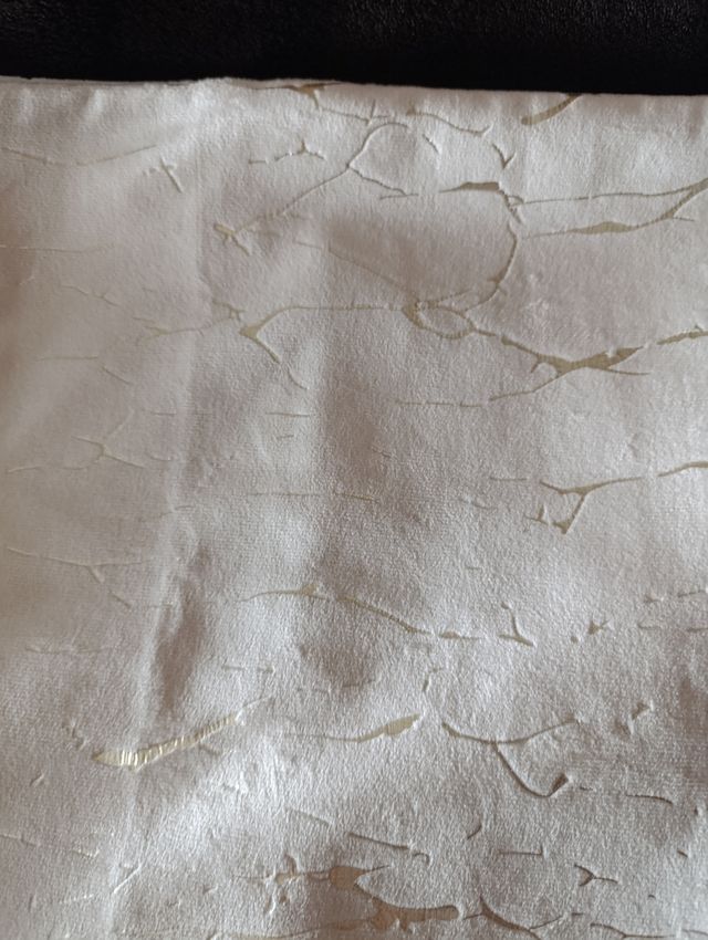 Funda cojín terciopelo blanco-dorado