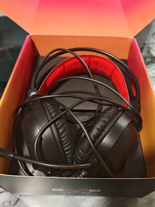 Auriculares EVS ESG 2 Laser