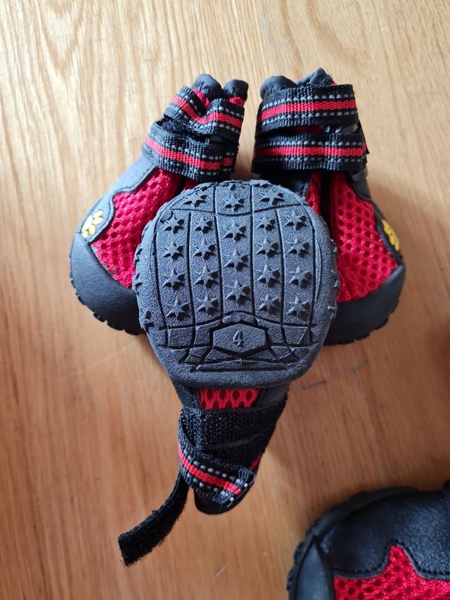 Zapatillas perro - rojas y negras