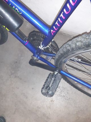 Bicicleta montaña Longway Mod Altitude lady