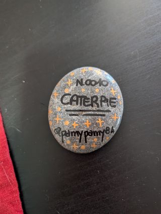 Sasso Pokemon Caterpie Dipinto