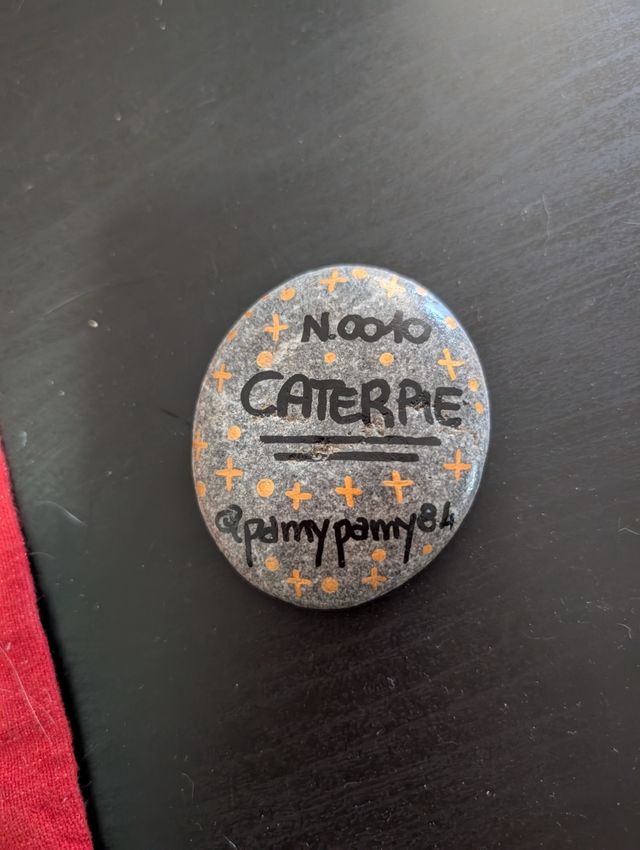 Sasso Pokemon Caterpie Dipinto