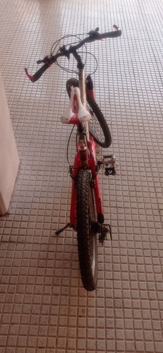 Bicicleta de 24 pulgadas