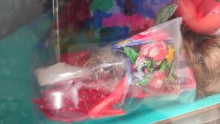 Muñeca Barbie Teen Talk