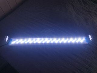 Luz LED acuario 