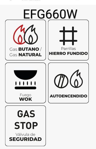 CCCCCC EAS ELECTRIC EFG660W gas 