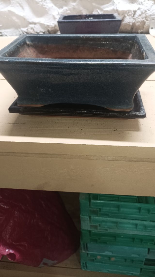 Macetas Bonsái - Cerámica Blanca