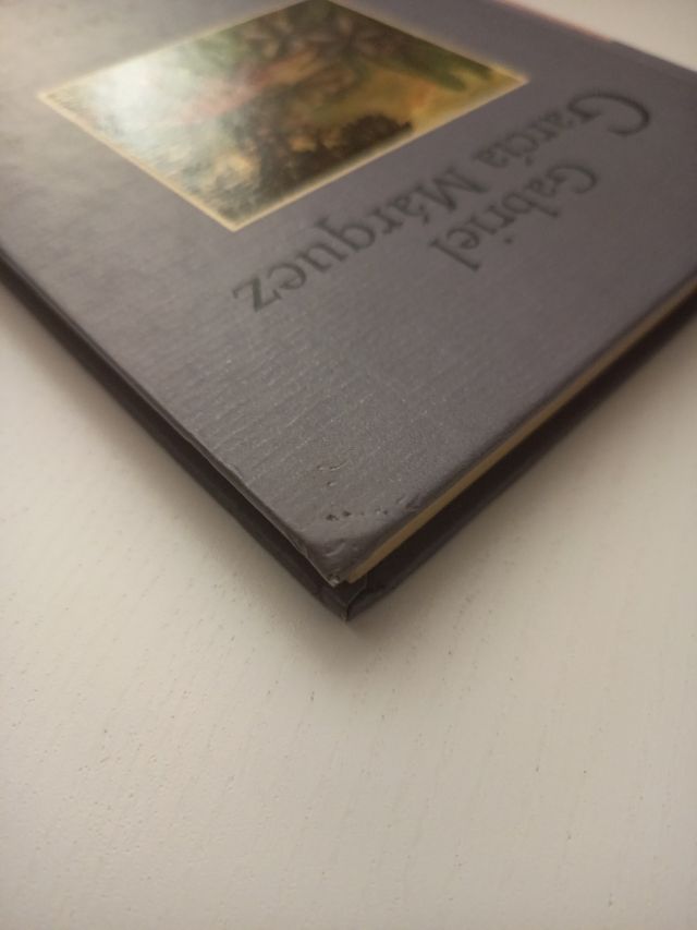 Del Amor y Otros Demonios