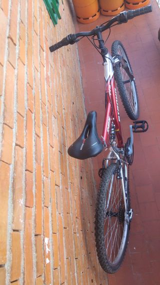 Bicicleta Strong 265 montaña