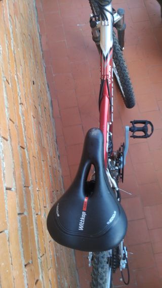 Bicicleta Strong 265 montaña