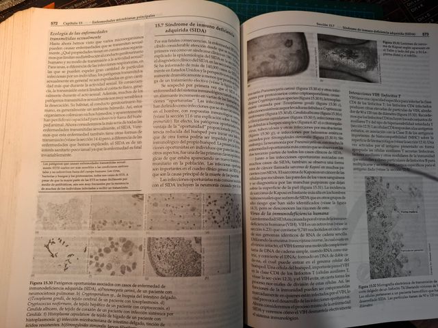 MICROBIOLOGIA