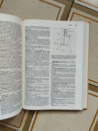 Diccionario ilustrado de odontologia Jablonski