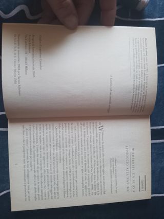 La wilderness. La natura selvaggia e l'uomo