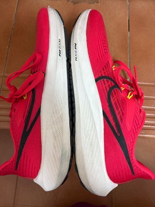 Zapatillas Nike Pegasus 39 rojas - 39