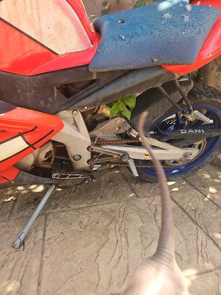 Aprilia RS 50 - Moto