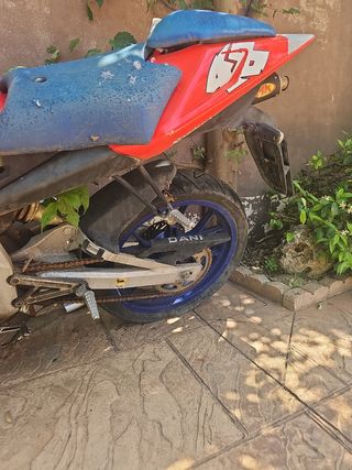 Aprilia RS 50 - Moto