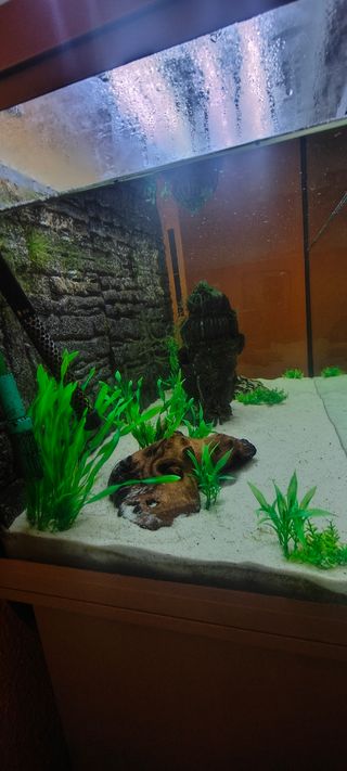 ACUARIO 230L COMPLETO
