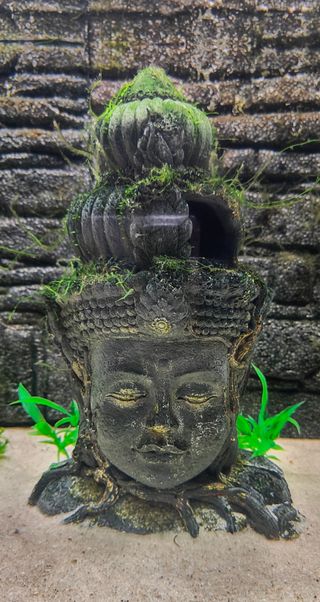 ACUARIO 230L COMPLETO