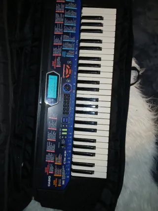 Casio CTK-431: Piano con 100 ritmos y 100 cancione