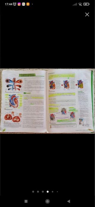 Código Bruño Biología y Geología 1 Bachillerato
