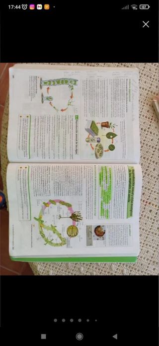 Código Bruño Biología y Geología 1 Bachillerato