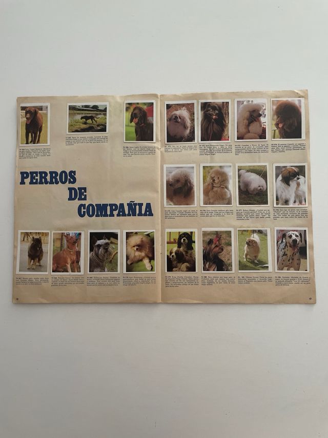 Album de cromos ME QUIERES? Completo