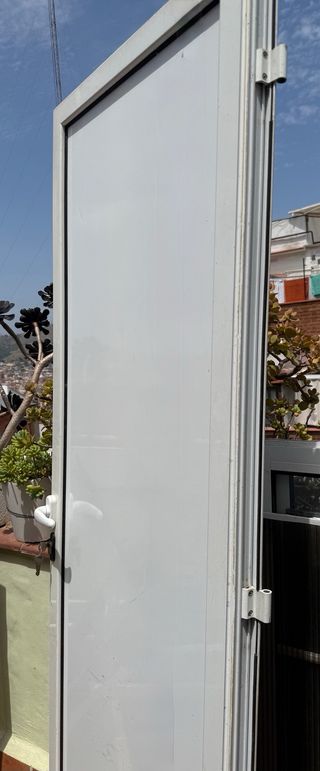 Puerta aluminio exterior con entrada para mascota