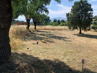 Desbrozadora - Sierra Madrid