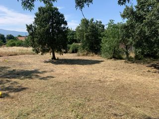 Desbrozadora - Sierra Madrid