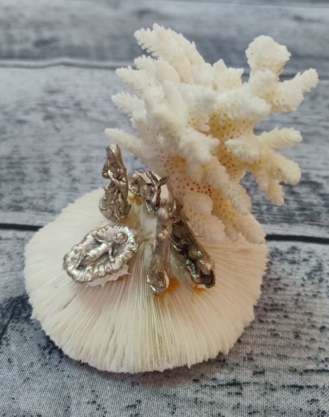 Presepe in Madrepora bianca