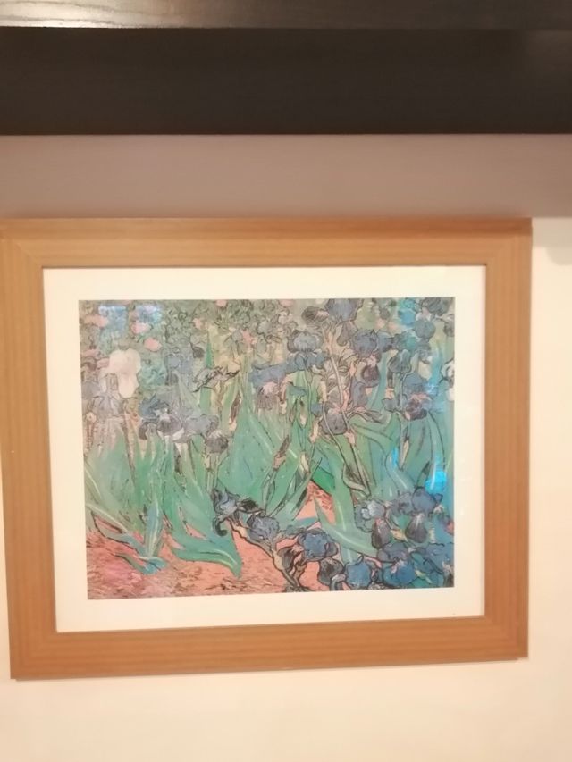 Cuadro Iris Van Gogh