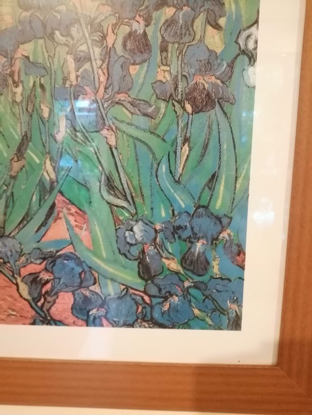 Cuadro Iris Van Gogh