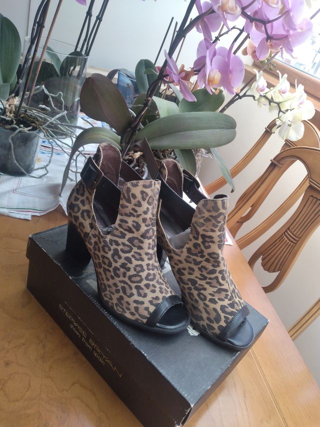 Zapato Bryan Stepwise - Piel Animal Print