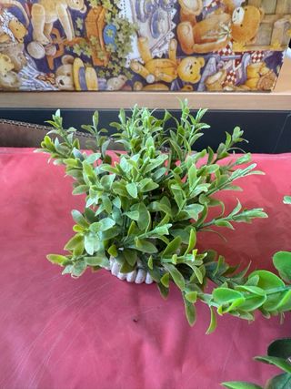 Plantas acuario plástico