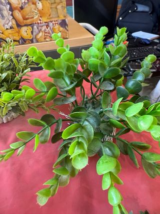 Plantas acuario plástico