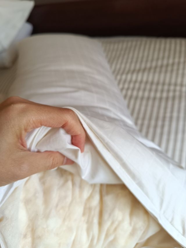 Almofada Dunlopillo - Branco