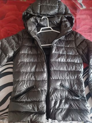 Plumas Massimo Dutti gris