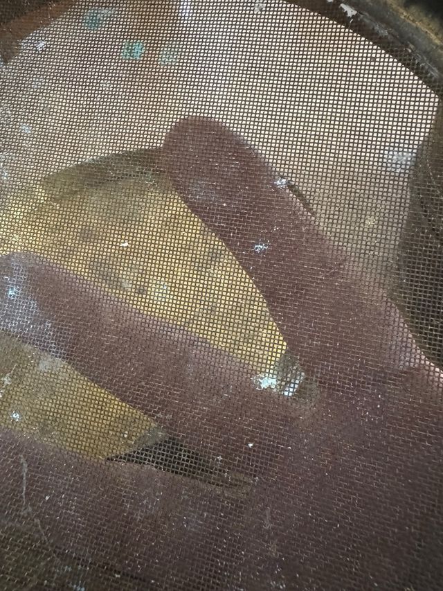 Contenitore scientifico ottone vintage