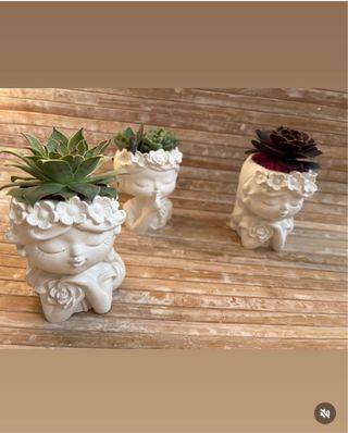 2 Vasetti cemento succulente