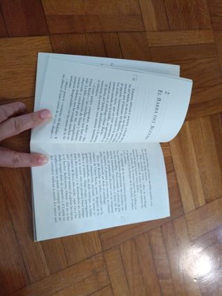 La góndola fantasma (Sopa De Libros/ Book Soup)...