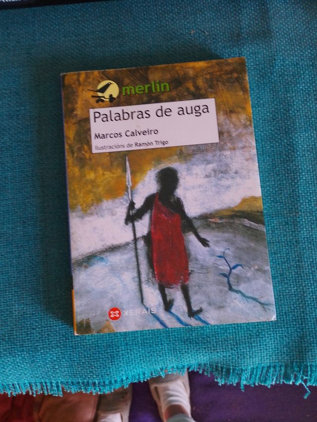 Lote de cinco libros en gallego