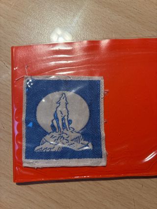 Distintivo Lupetti FSE: raro distintivo scout