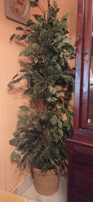 Planta artificial Ficus en cesta