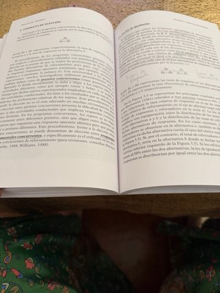 Psicología del aprendizaje