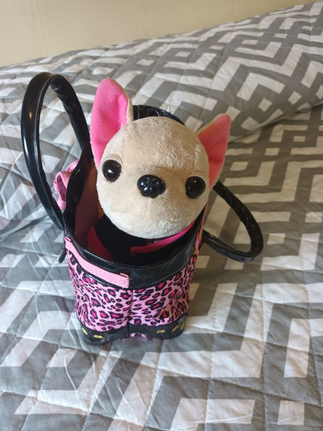 Chi Chi Love Rock Star y bolso