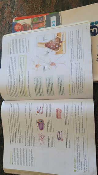 Biología y Geología 3.º ESO