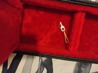 Estuche rígido guitarra 335