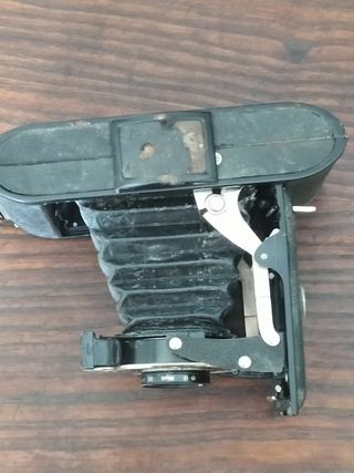 Krokus - Fotocamera Vintage 1932