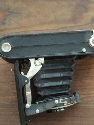 Krokus - Fotocamera Vintage 1932